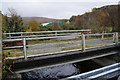 Disused road bridge over the River Polly