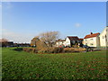 The Village Pond at Cranswick