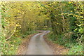 Entering Tump Wood