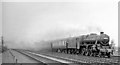 SP8634 : Up Cup Final Special approaching Bletchley, 1957 by Ben Brooksbank