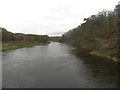 NY0330 : Looking along the River Eden from Camerton Bridge by Graham Robson