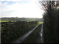 Lane towards Little Moss