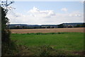 Farmland near Withersdane Green