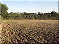 Farmland east of Coopersale House