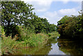 Macclesfield Canal south-east of Astbury, Cheshire