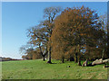 Oaks, Woodcote Farm