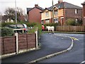 Horse on Werneth Avenue