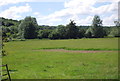 Grassland in the Eden Valley