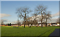 SJ4191 : Dovecot Park by Ian Greig