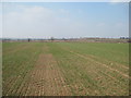 Bridleway  over  field  to  Mook  Street  (2)