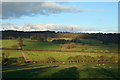 Fields near to Lanchester