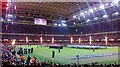 Wales v All Blacks, November 22nd, 2014