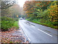 Looking south on Philpot Lane