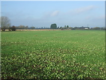 SD4821 : Crop field, Bretherton Moss by JThomas