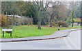 Looking past Bracken Way with cat looking back