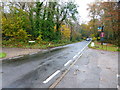 Looking along South Road