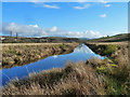 Looking Up The Doon