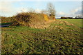 Lower Farm field separated from road by hedgerow