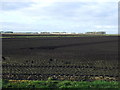 Flat farmland off Boundary Lane