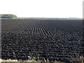 Farmland, Holmes Moss