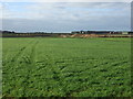 Farmland west of New Lane Pace