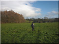 Bridleway approaching Field Head