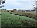 Farmland and houses north of Eype Down Lane