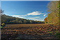 Field in the valley of the Nyfer