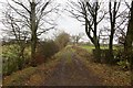 Green lane near Wheatyfauld