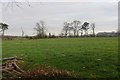 Field near Swindridge Muir