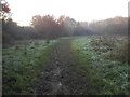 Muddy path on Stokes Field