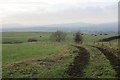 November fields