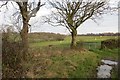 Field near Cleeves