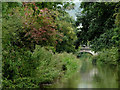 Macclesfield Canal south-east of Congleton, Cheshire