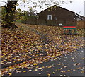 Colourful bench amid late autumn leaves in Coleford