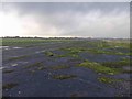 SE6027 : Former Burn airfield runway by Steve  Fareham