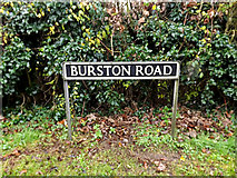 TM1582 : Burston Road sign by Geographer