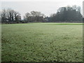 Cricket Ground - Weeton Lane