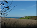 Glimpse of the sea from close to National Trust car park, Ringmore