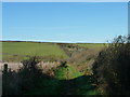 Path from car park to Ayrmer Cove, near Ringmore