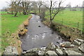 Ballymartin Water looking northwest.