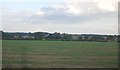 Farmland in the Stour Valley