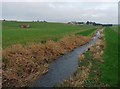 Water of Philorth, Memsie, Aberdeenshire