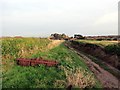 Llwybr Overton Path