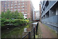 SJ8397 : Rochdale Canal by N Chadwick