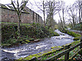 Haltwhistle Burn beside the Old Brickworks