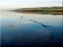 NH5961 : Cromarty Firth from mid Cromarty Bridge by Julian Paren