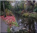 New River Walk, Canonbury