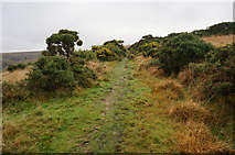 SX6572 : Path to Hooten Wheals Tin Mine (disused) by jeff collins