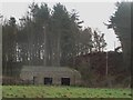 Old building in paddock east of Ford